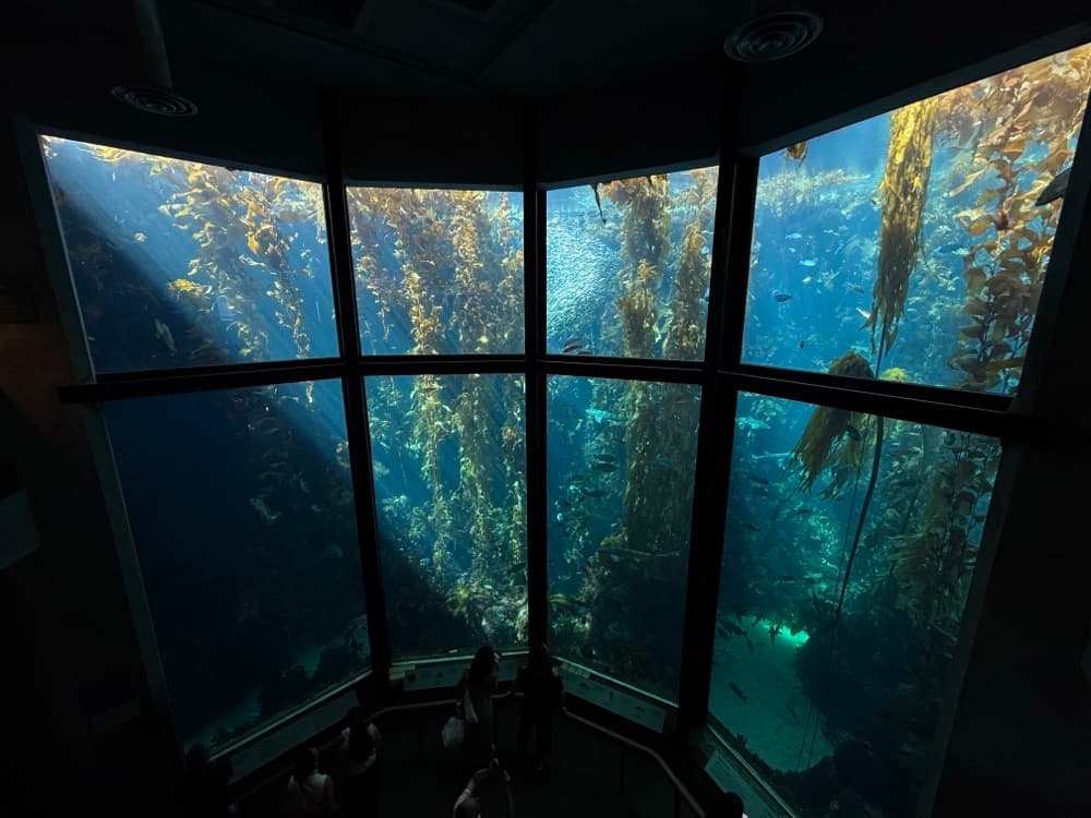 Monterey, USA